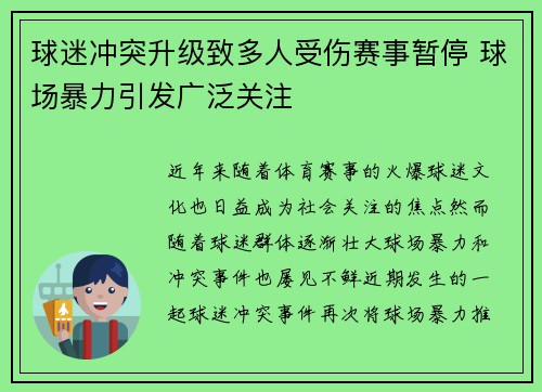 球迷冲突升级致多人受伤赛事暂停 球场暴力引发广泛关注 球迷冲突升级致多人受伤赛事暂停 球场暴力引发广泛关注